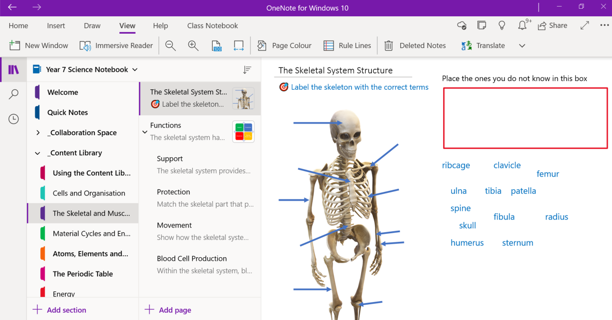 Screenshot of a OneNote Class Notebook learning page. The page contains a task on the skeletal system structure and a 3D picture of a skeleton. Students are instructed to label the bones with various words provided.  They also have an area for students to drag the words they don't know.