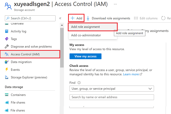 Screenshot of the 'Access Control (IAM)' pane of the Data Lake Storage Gen2 account.