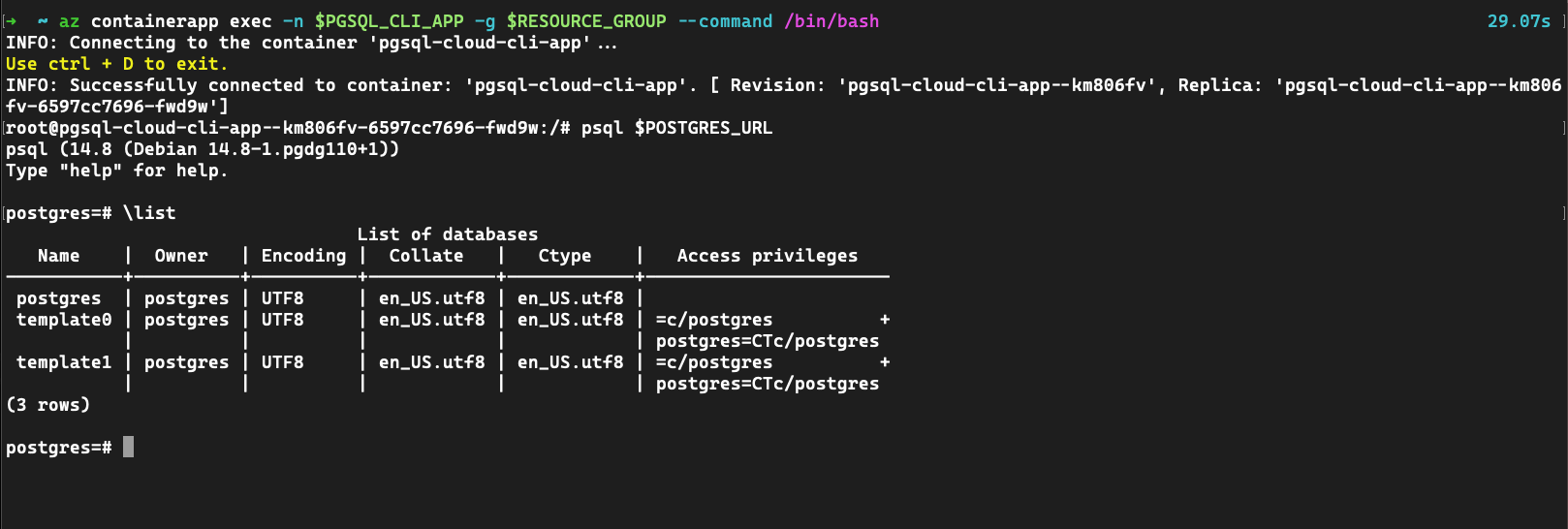 Snímek obrazovky aplikace kontejneru využívající pgsql pro připojení ke službě PostgreSQL