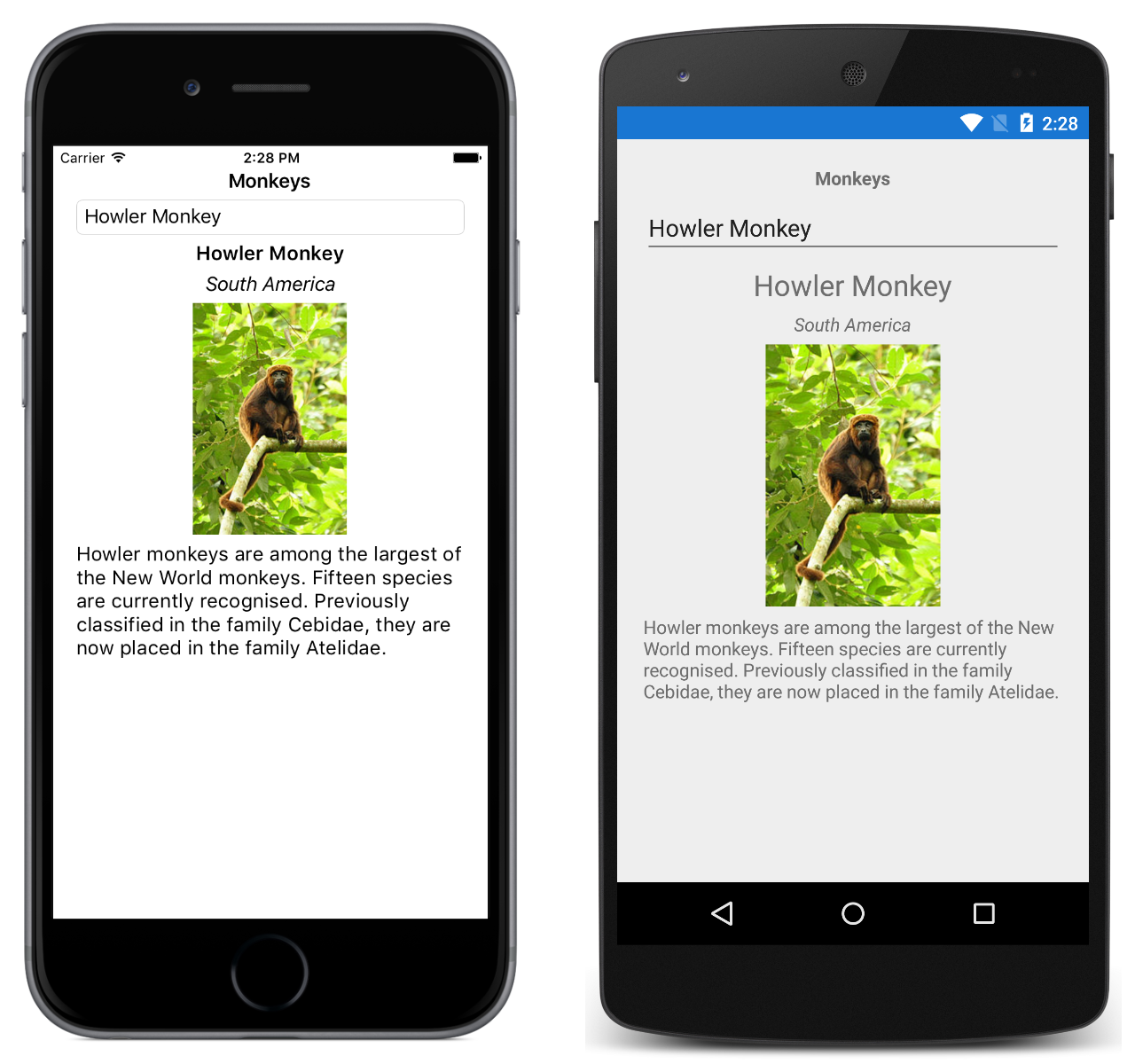 Monkey Picker application screenshot