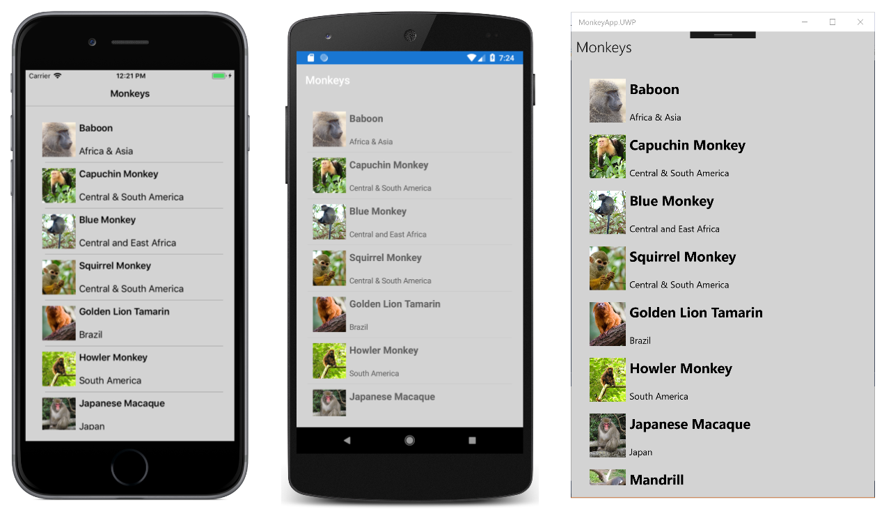 Monkey App (CSS) application screenshot