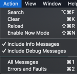 Screenshot of the Include Info Messages and Include Debug Messages options in iOS/iPadOS console app.