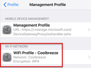 Screenshot of Wi-Fi connection that shows as a Wi-Fi network on iOS/iPadOS device in Intune.