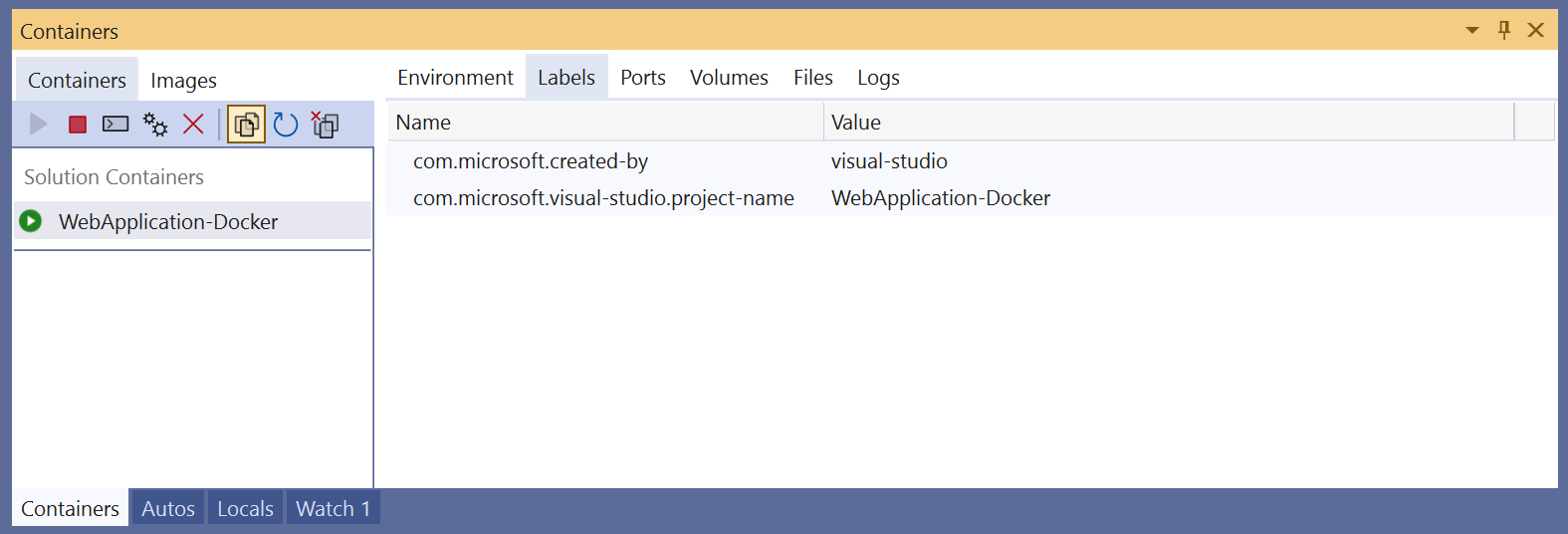 Snímek obrazovky s oknem Kontejnery v sadě Visual Studio s kartou Popisky