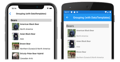 snímku seskupených dat v CollectionView v systémech iOS a Android