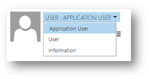 Select Application User Form.