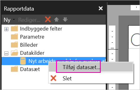 Screenshot of the Add Dataset option under Data Sources.