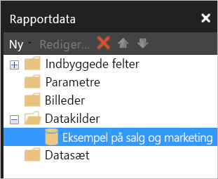 Screenshot of the Report Data pane with the dataset listed under Data Sources.