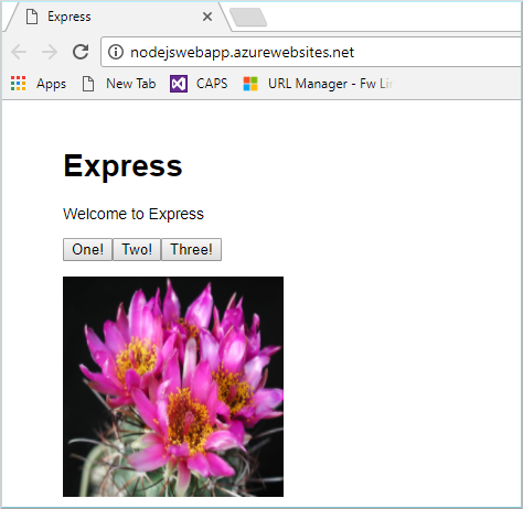 Screenshot: Web-App, die in Azure App Service in einem Browser ausgeführt wird.