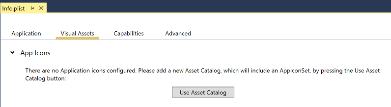 Select the Visual Assets tab
