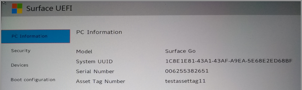 Ergebnisse der Ausführung des Surface Asset Tag-Tools auf Surface Go.