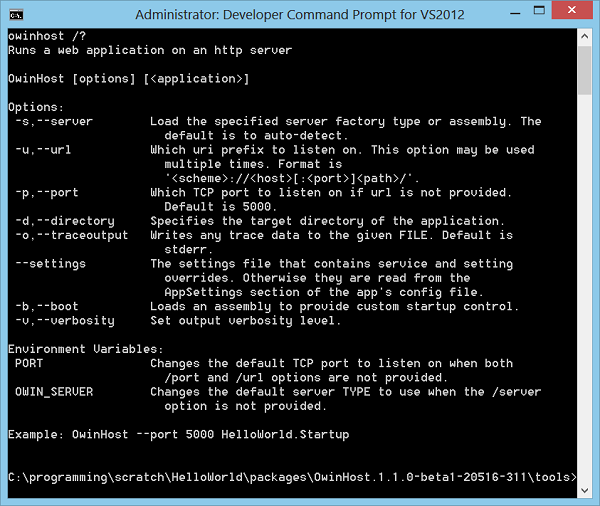 Screenshot der Developer-Eingabeaufforderung mit einem Beispiel für den Code der Eingabeaufforderung beim Ausführen der Anwendung auf dem Server.