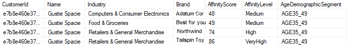 Beispiel für Kundendatensätze mit Attributen zur Markenaffinität in einer Datenbanktabelle