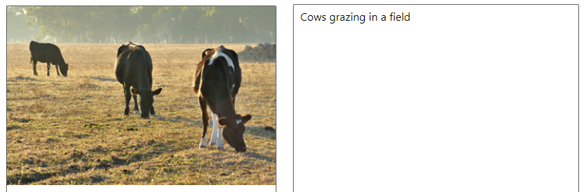 Foto mit Kühen mit einer einfachen Beschreibung auf der rechten Seite.