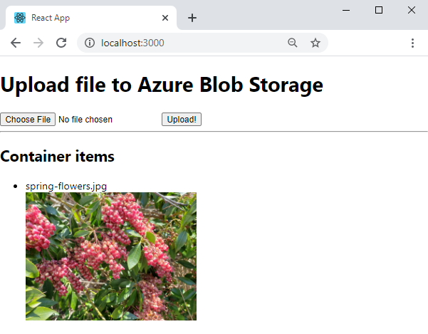 Einfache React-App, die mit Azure Storage-Blobs verbunden ist.