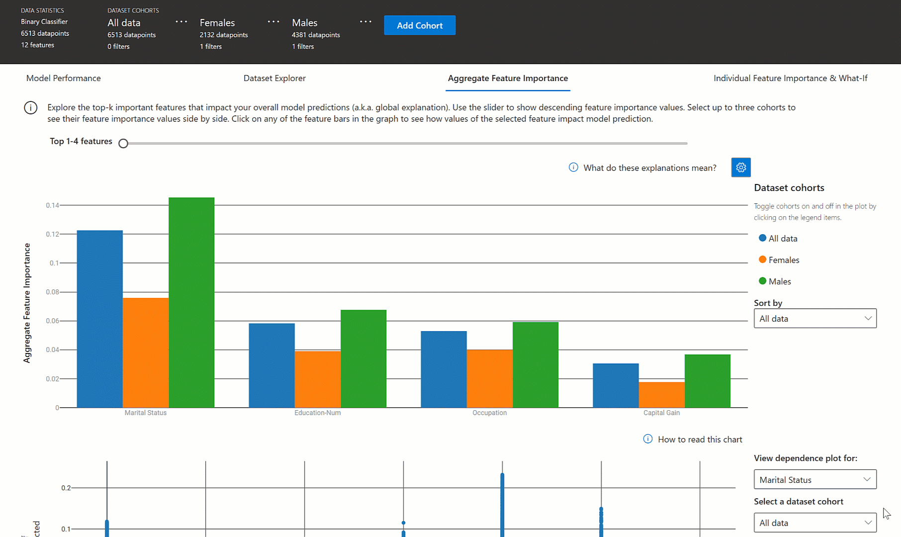 Aggregate feature importance tab in the explanation visualization
