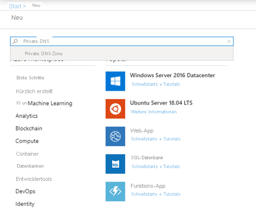 Shows searching for 'private dns zone' on new resources page in the Azure portal.