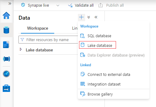 Screenshot: Erstellen einer leeren Lake-Datenbank