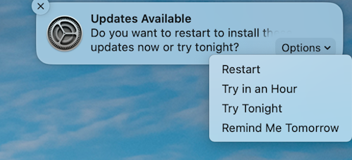 Die Beispielbenachrichtigung, dass ein Update auf einem macOS Apple-Gerät verfügbar ist.