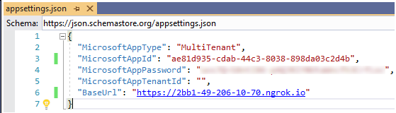 Screenshot der JSON-Datei von appsettings mit den Appsettings-Informationen.