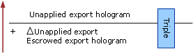 Unapplied Export Hologram