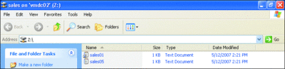 Abbildung 4 Windows XP zeigt nur die Dateien, die nach dem Trennen der Verbindung verfügbar sind