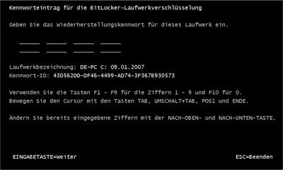 Abbildung 5 Eingabe eines BitLocker-Kennworts