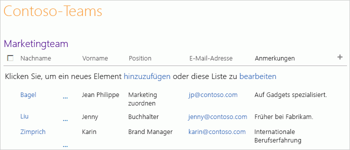 Kontakteliste für Contoso-Marketingteam