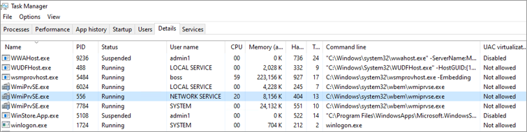 Screenshot: Dienst mit hoher CPU-Auslastung im Task-Manager