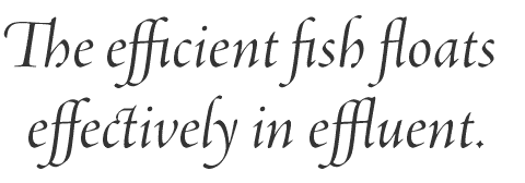 Latin text with special ligatures and swash forms