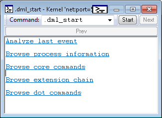 Screenshot der dml-start-Standardausgabe.