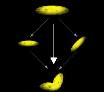 Abbildung des Prozesses zum Mischen von zwei Objekten mit Bananentextur