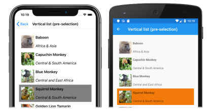 Screenshot einer vertikalen CollectionView-Liste mit einzelner Vorauswahl unter iOS und Android