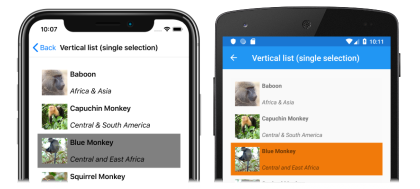 Screenshot einer vertikalen CollectionView-Liste mit einzeler Auswahl unter iOS und Android