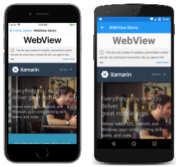 WebView-Beispiel