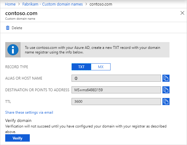 Contoso page with DNS entry information