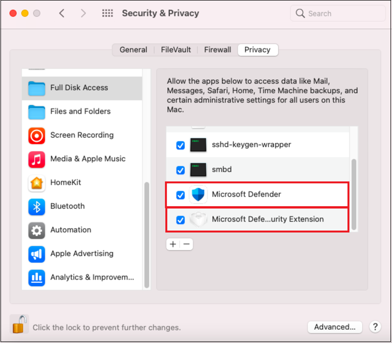 The screenshot shows the full disk access's security and privacy.
