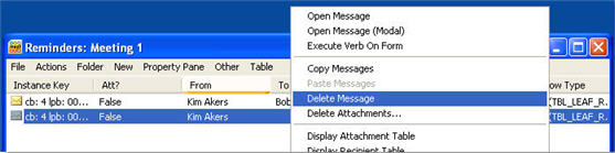 Screenshot of appointment, showing the Delete Message.