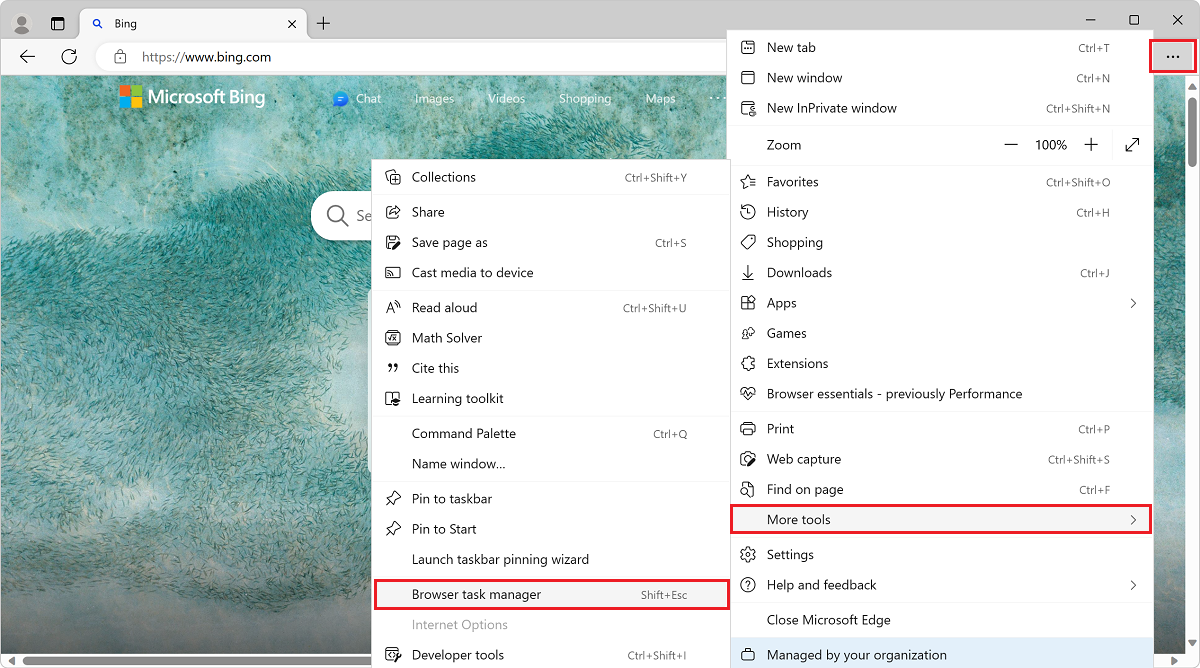 Opening the Microsoft Edge Browser Task Manager