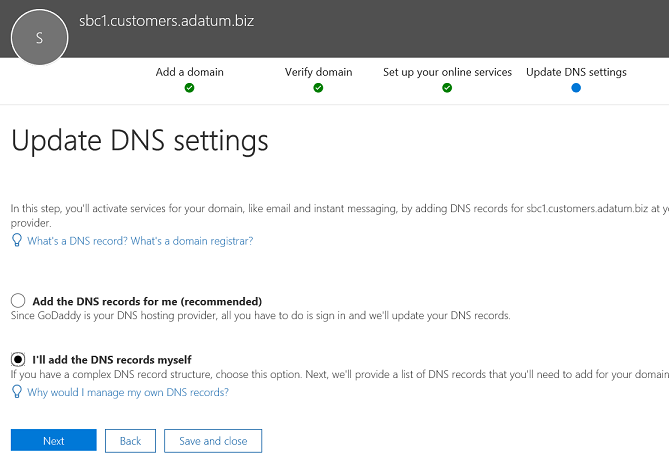 Screenshot of options on the Update DNS settings page.