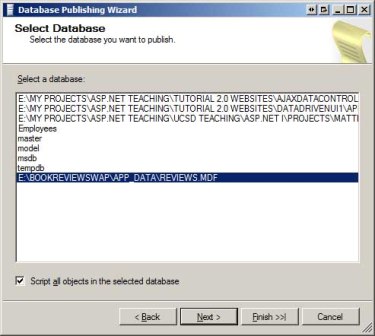 Screenshot of the Database Publishing Wizard window, which is showing a highlighted database in the list and a filled Script all objects checkbox.