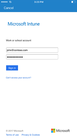 After tapping Sign in, the user enters their credentials on this page, which asks for a user's email and password, along with offering ways to resolve password failures.