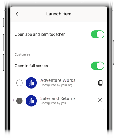 Screenshot of Launch item settings.