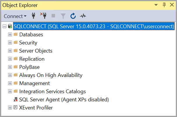 Screenshot of connecting to an on-premises server.