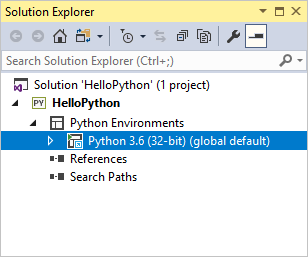 Solution explorer showing the default environment