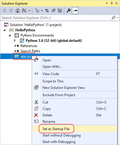 Setting the startup file for a project in Solution Explorer