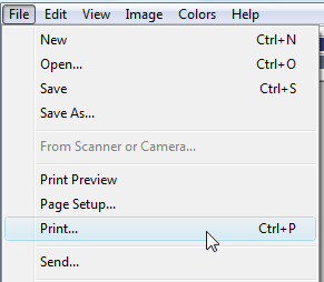 screen shot of file menu, print command selected 