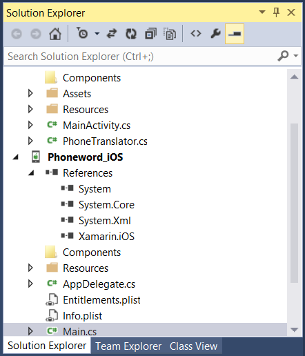 The solution Pane, which contains the directory structure and all the files associated with the solution
