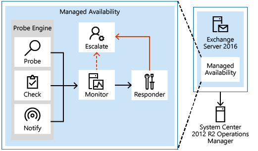 The components of Managed Availability in Exchange Server.