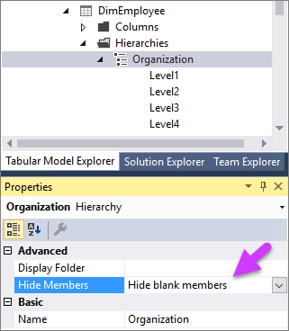 Screenshot of the Properties window with an arrow pointing to the Hide blank members option.